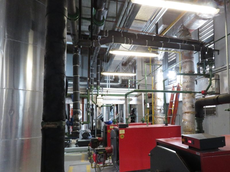 Imagem do WhatsApp de 2025-10-27 à(s) 16.07.11_cf349ca4